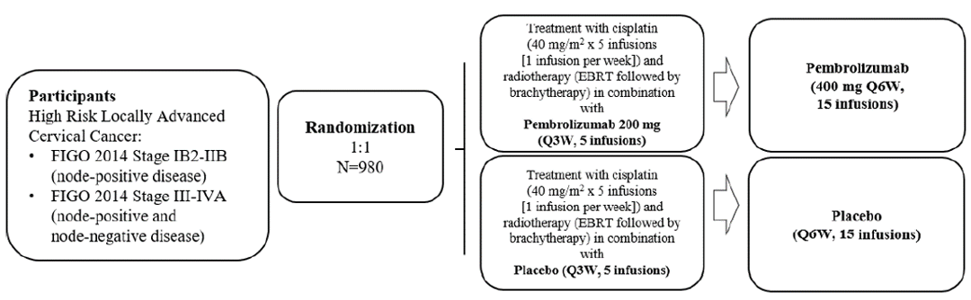 Trial Overview Nordic Society Of Gynaecological Oncology Nsgo