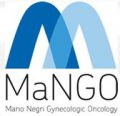 Mango-e1497839841697